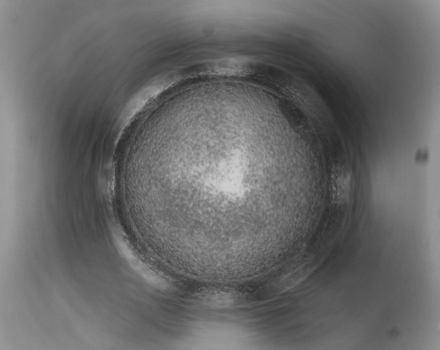 X0000115630726200911101437