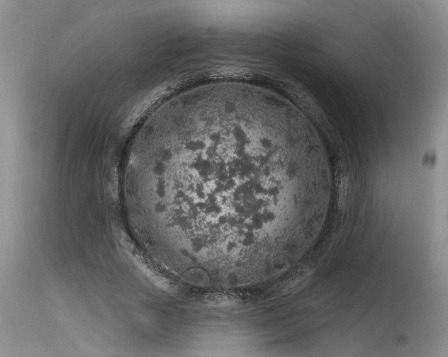 X0000115630729200911101437