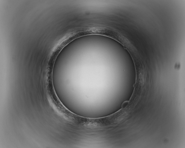 X0000115630730200911101437