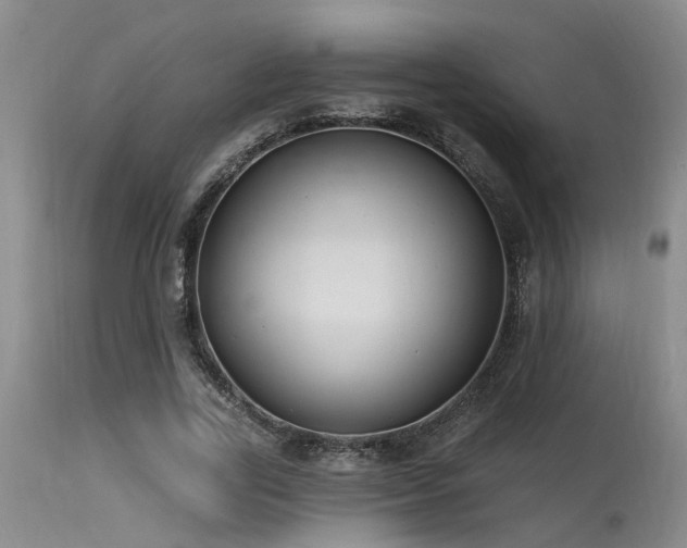 X0000115630731200911101437