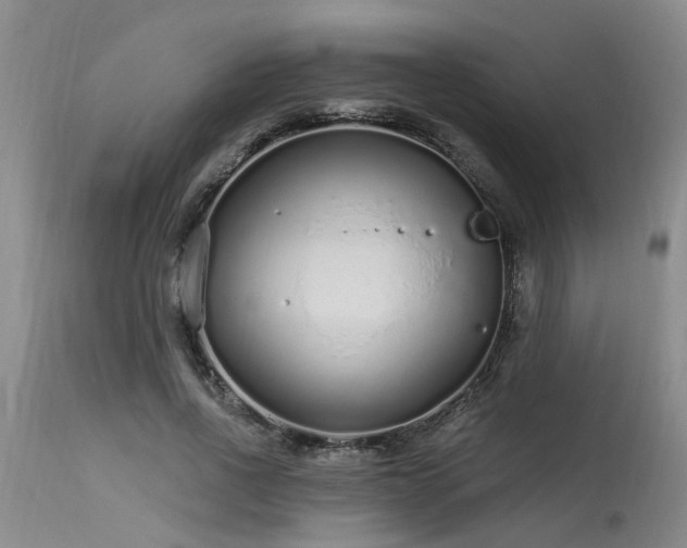 X0000115630734200911101437