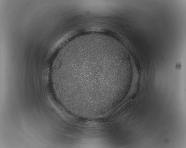 X0000115630735200911101437
