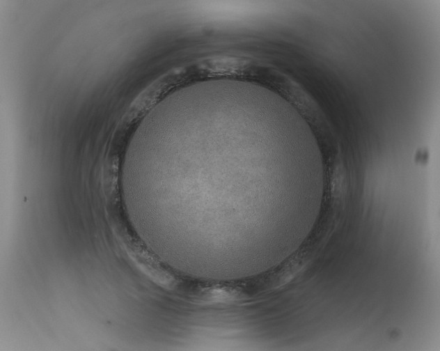 X0000115630737200911101437