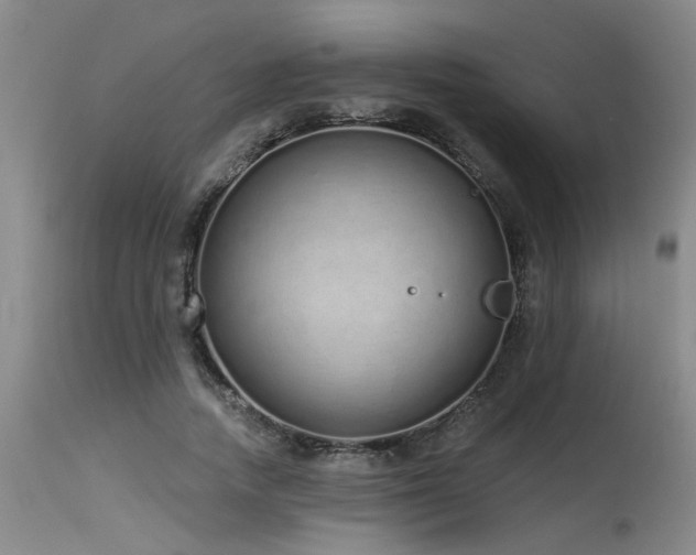 X0000115630738200911101437