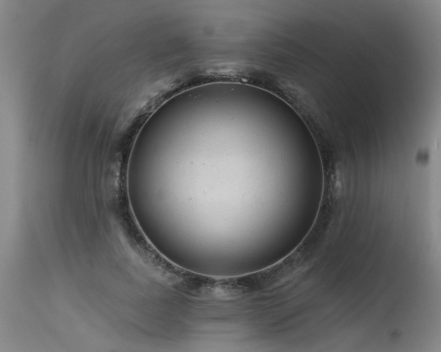 X0000115630739200911101437
