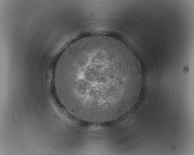 X0000115630742200911101437