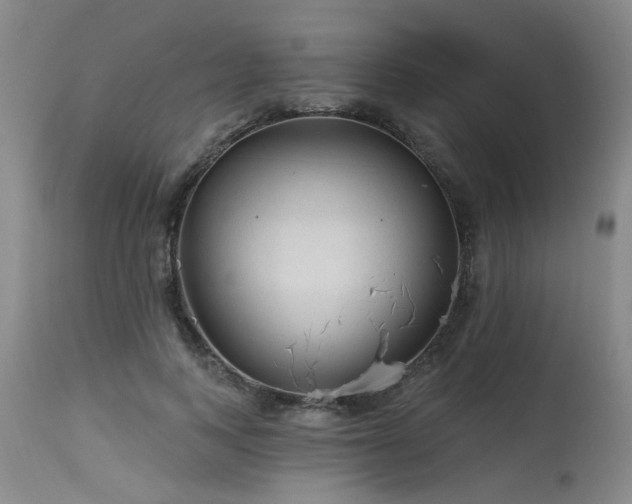 X0000115630743200911101437
