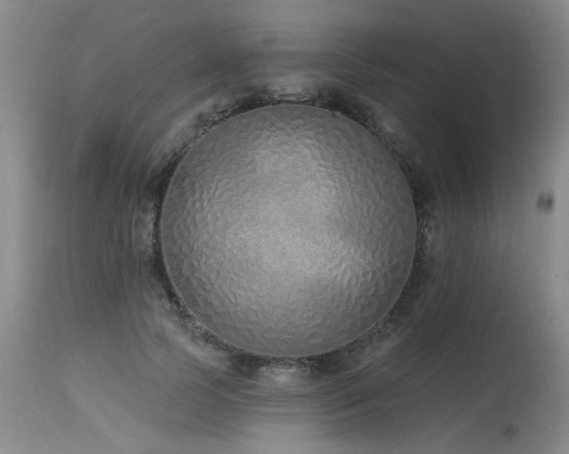 X0000115630745200911101437