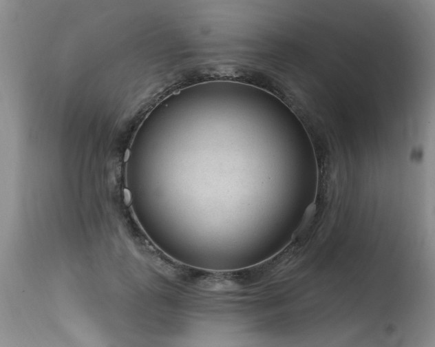 X0000115630747200911101438