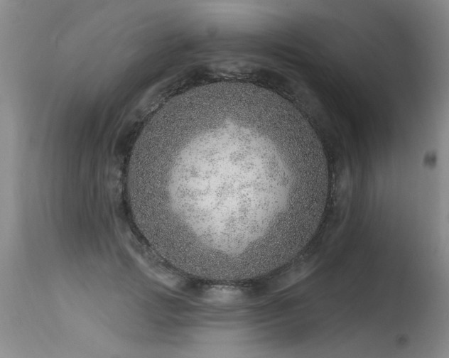 X0000115630749200911101438