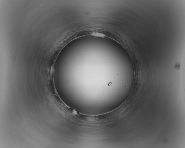 X0000115630750200911101438