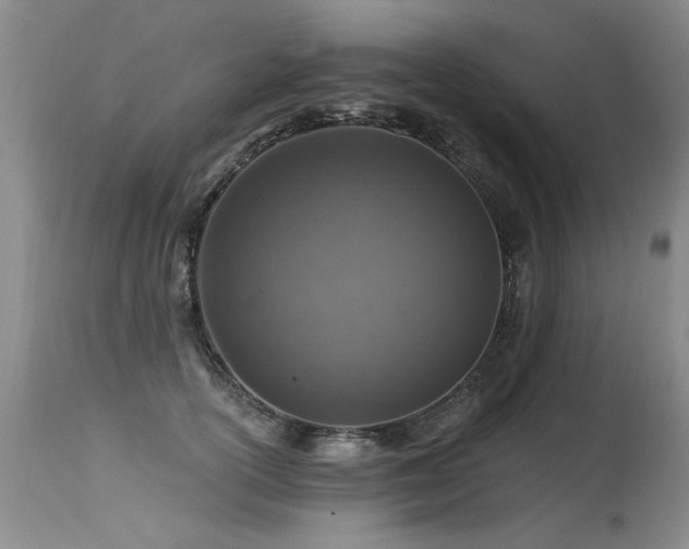 X0000115630754200911101438