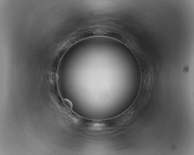 X0000115630755200911101438