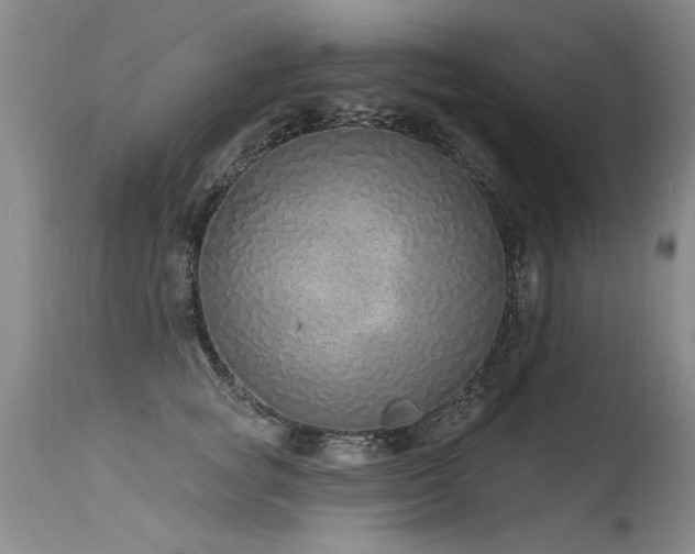 X0000115630757200911101438