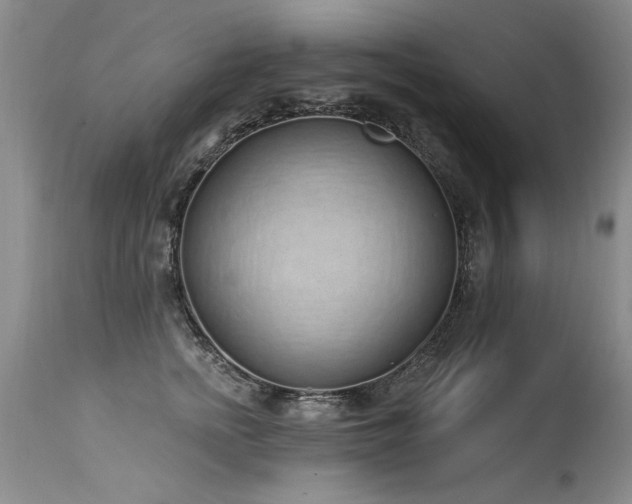 X0000115630758200911101438