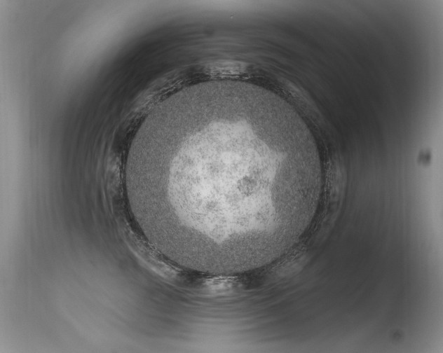 X0000115630761200911101438