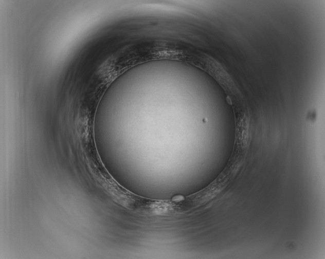 X0000115630762200911101438