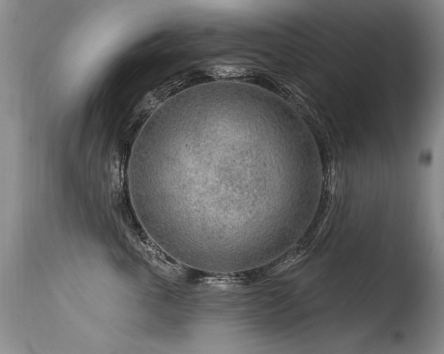 X0000115630763200911101438