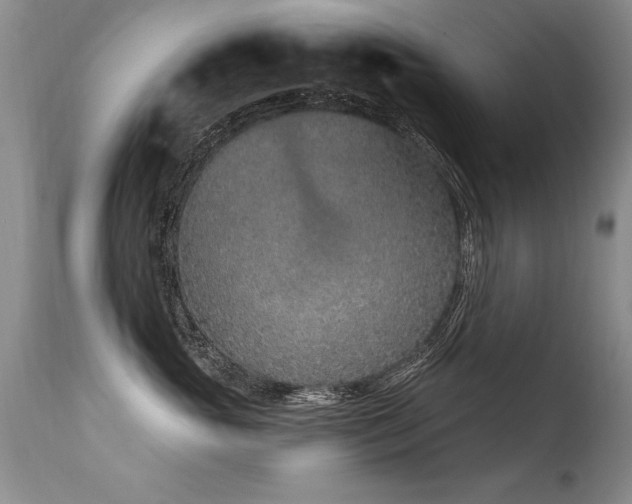 X0000115630765200911101438