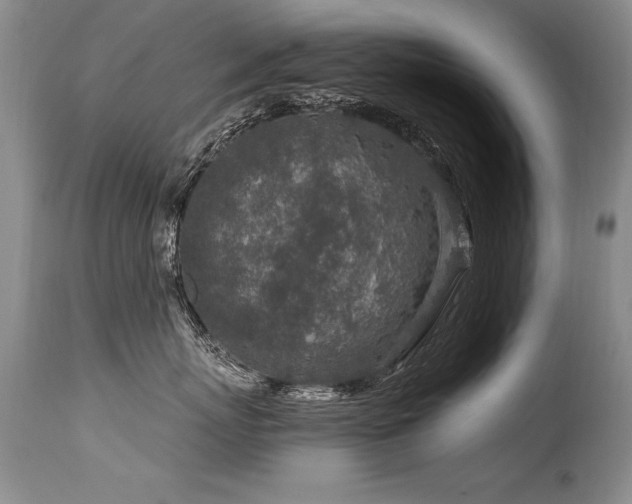 X0000115630767200911101438