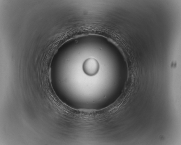 X0000115630769200911101437