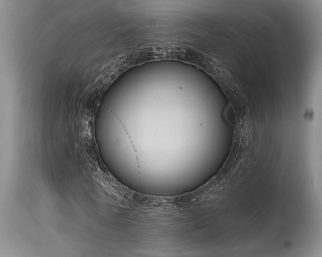 X0000115630770200911101437