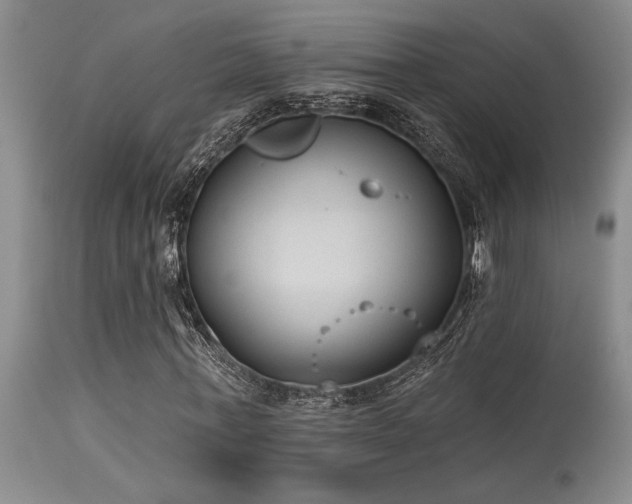 X0000115630771200911101437