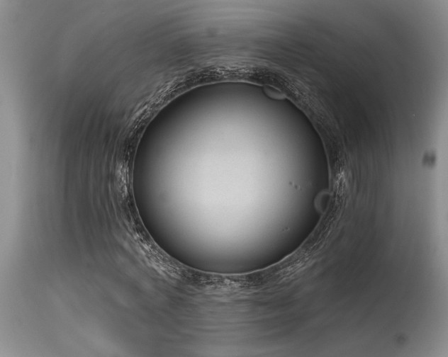 X0000115630772200911101437