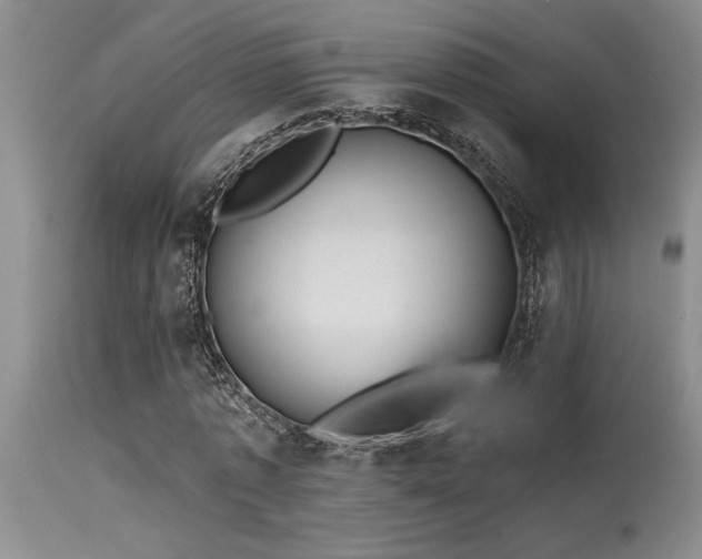 X0000115630773200911101437