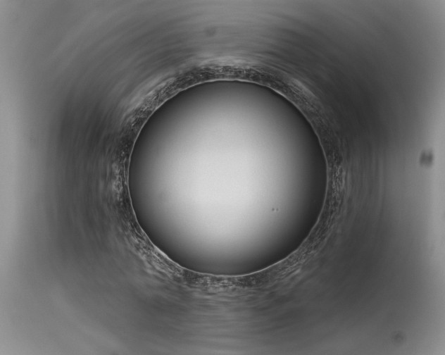 X0000115630774200911101437