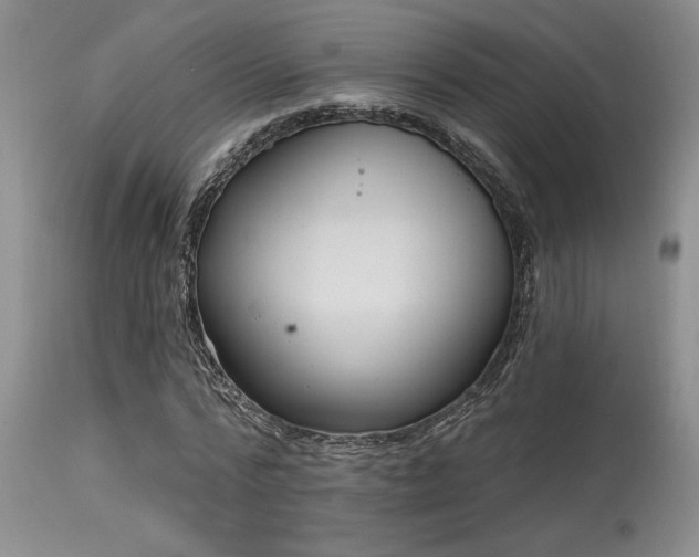 X0000115630776200911101437