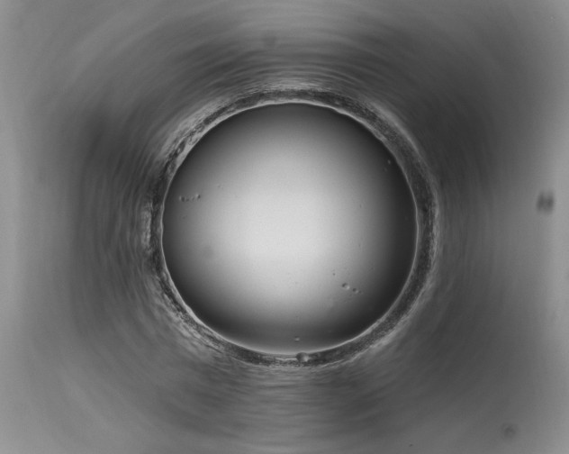 X0000115630777200911101437
