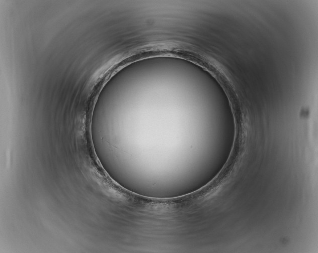 X0000115630778200911101437