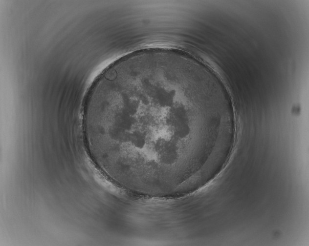 X0000115630779200911101437