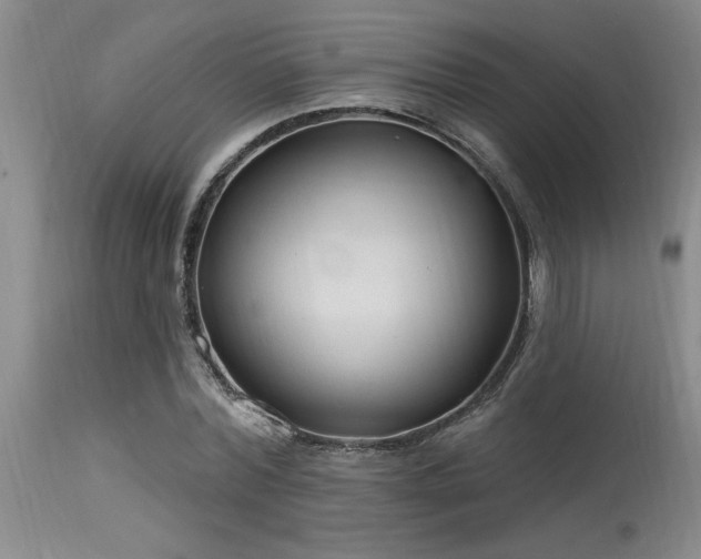X0000115630780200911101437