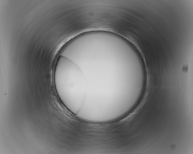 X0000115630781200911101437