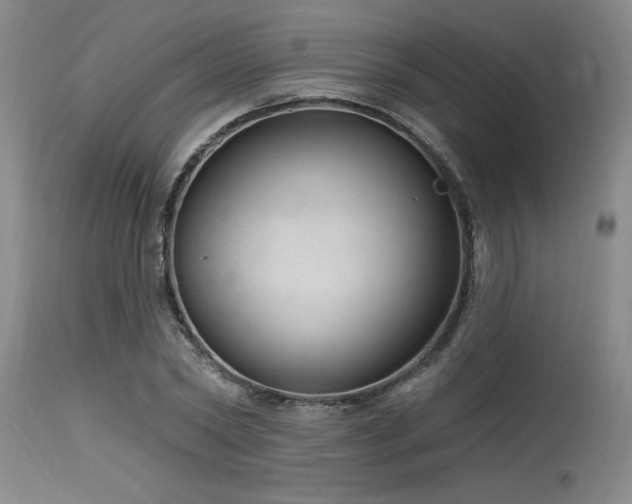 X0000115630782200911101437