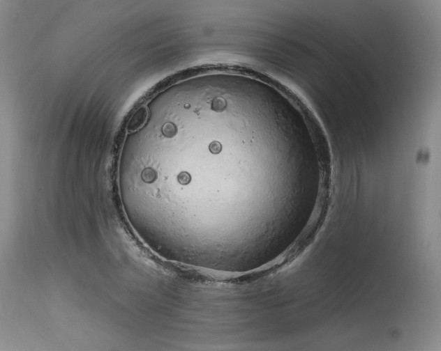 X0000115630783200911101437