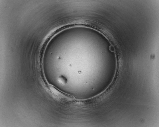 X0000115630784200911101437
