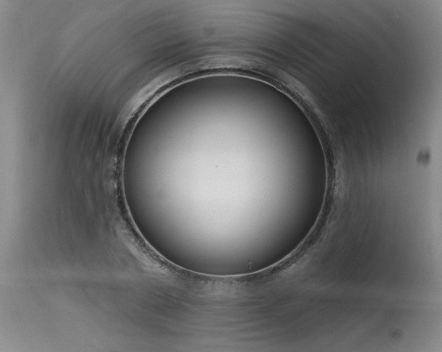 X0000115630786200911101437