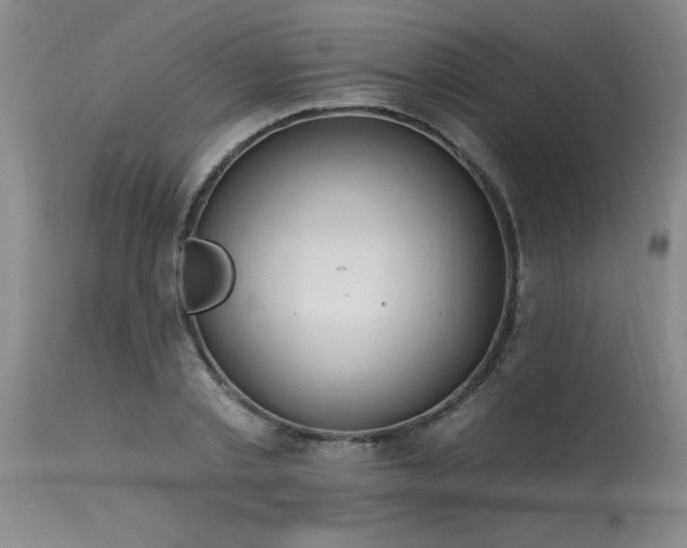 X0000115630789200911101437