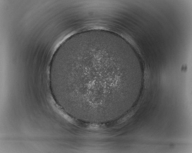 X0000115630790200911101437