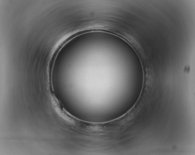 X0000115630792200911101437