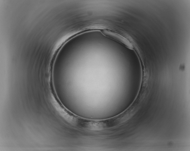 X0000115630795200911101437
