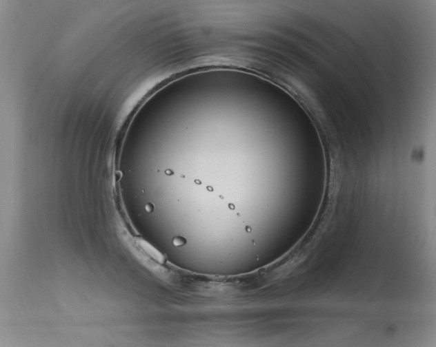 X0000115630796200911101437