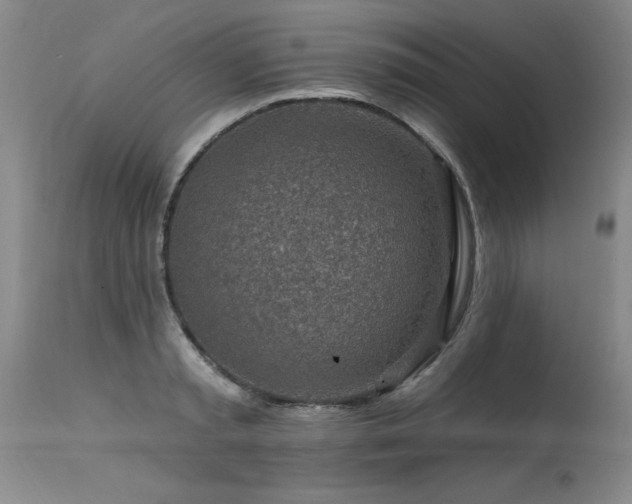 X0000115630797200911101437