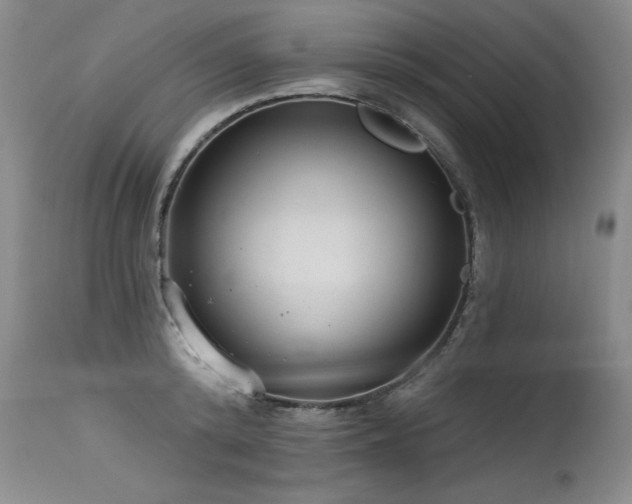X0000115630800200911101437