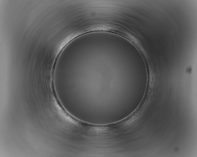 X0000115630802200911101437