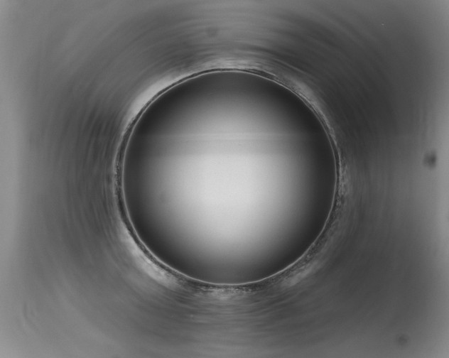 X0000115630803200911101437