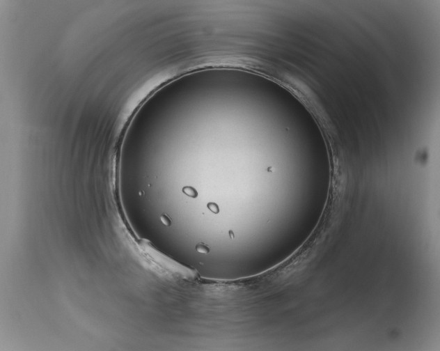 X0000115630804200911101437